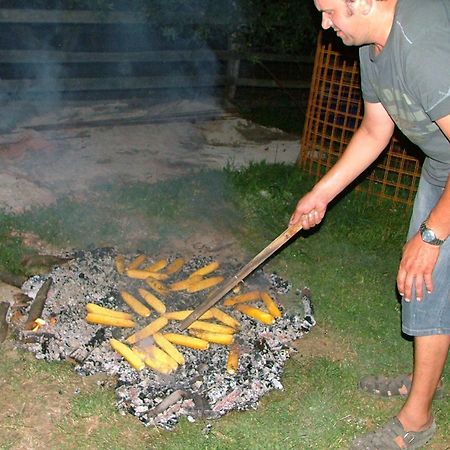 Tourist Farm Pri Martinovih Villa Krška Vas Buitenkant foto