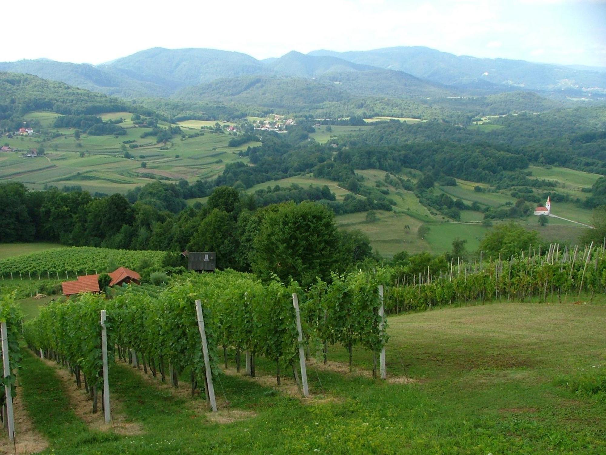 Tourist Farm Pri Martinovih Villa Krška Vas Buitenkant foto